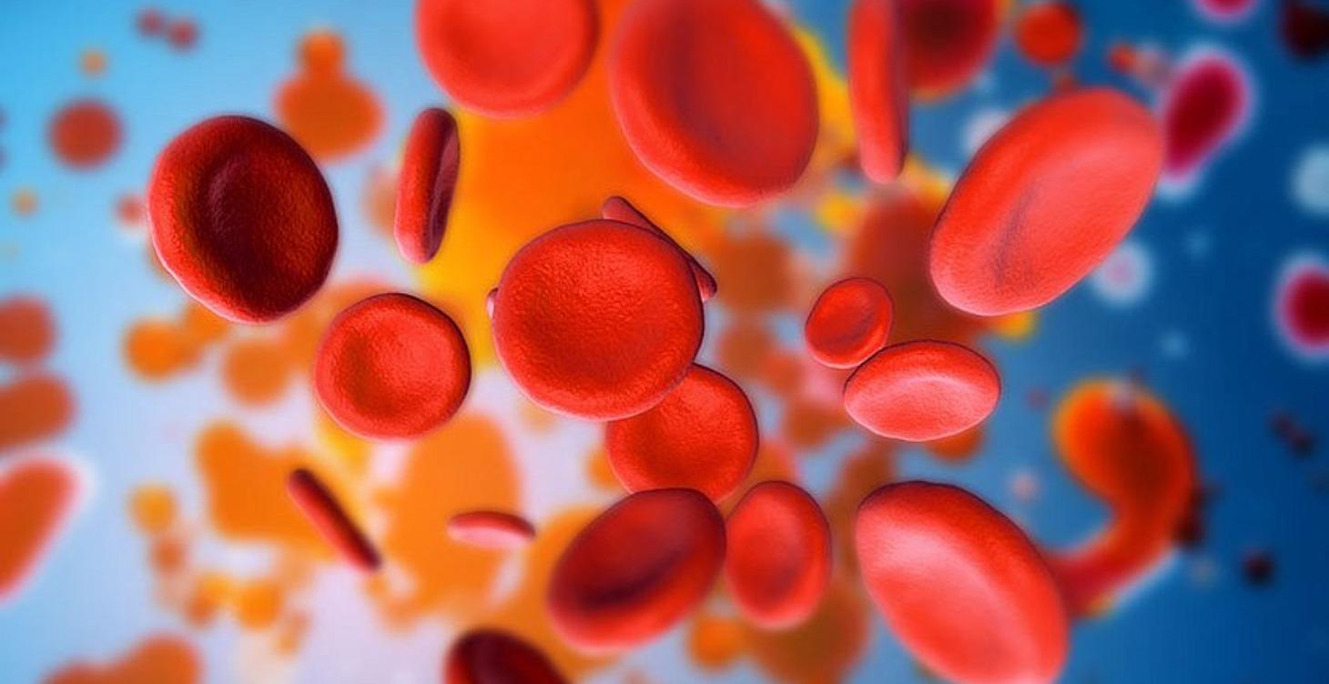 ГЕМАТОКРИТ 2025