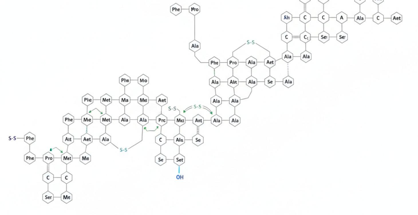 ГАЙД ПО ГОРМОНУ РОСТА 2025