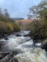 Jacqueline Bambridge