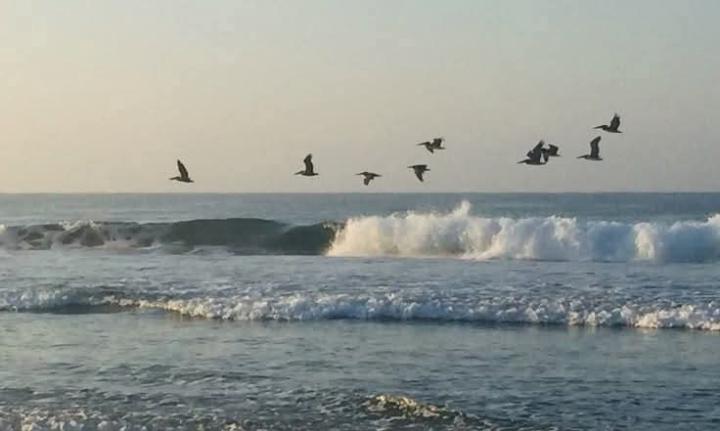 Fatima elzahrae Khamalishi