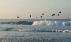 Fatima elzahrae Khamalishi