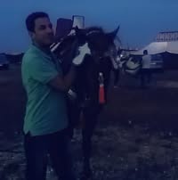 Jaouad Mohamed