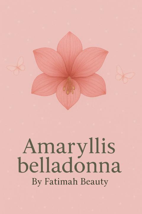 Amaryllis Belladonna