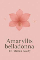 Amaryllis Belladonna