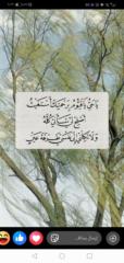 Nesma Elshafey