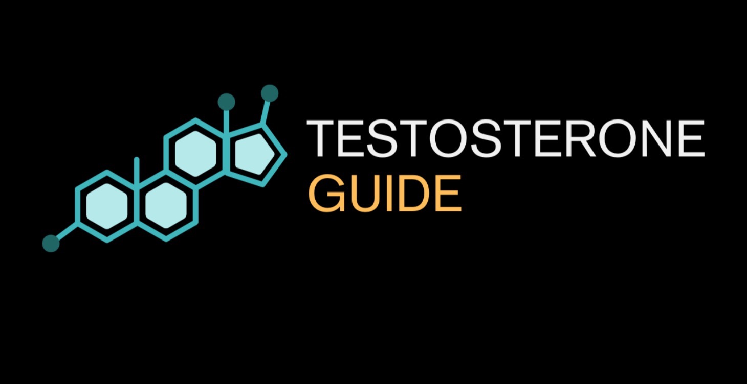 Testosterone Guide (WATCH 2ND)