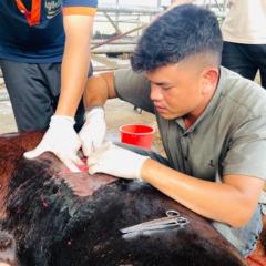 Nhật Lê