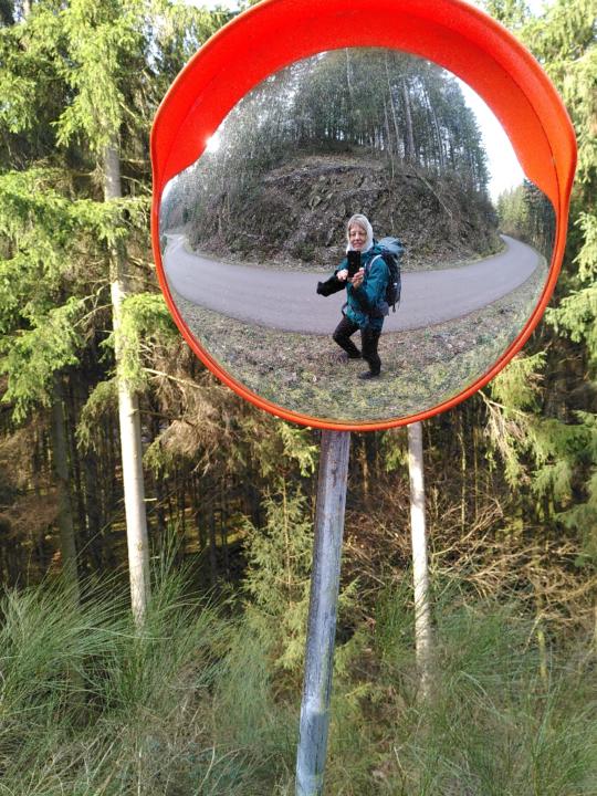 Dorothee Hippe