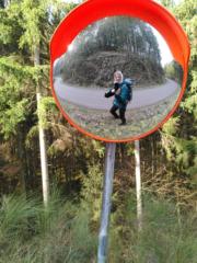 Dorothee Hippe