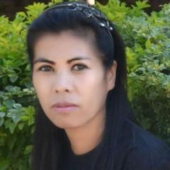 Anim Pamei