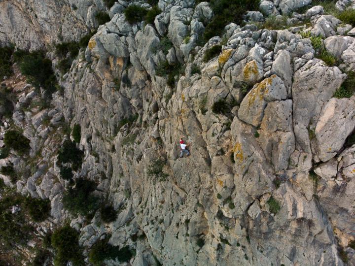 Fco. Javier Cha. Gonz.