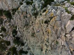 Fco. Javier Cha. Gonz.