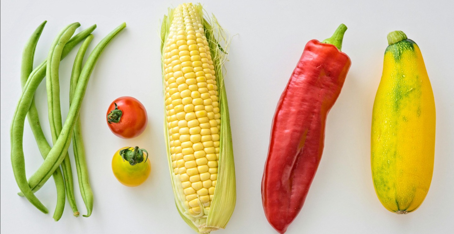 The 21 Day Template + Chat GPT Prompts