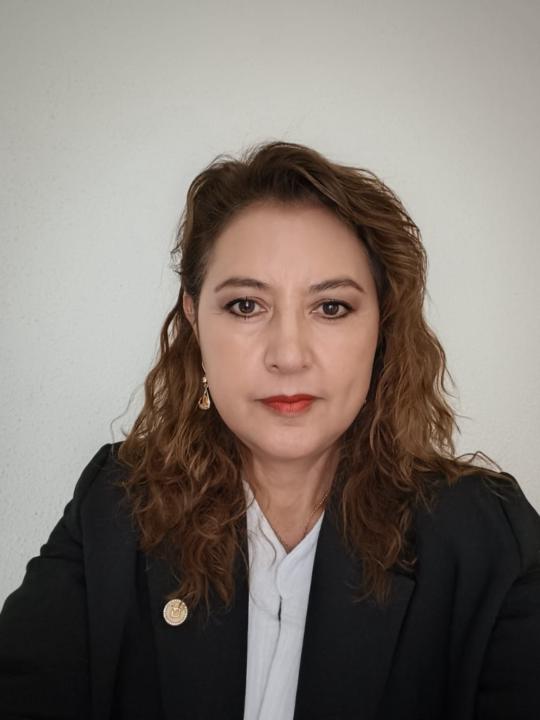 Lucía Domínguez Villegas