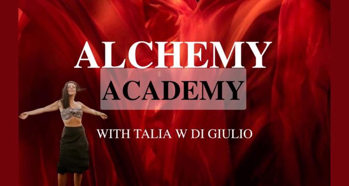 THE ALCHEMY ACADEMY