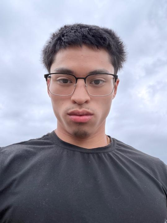 Jasper Estrellado