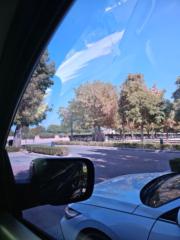 Ramsha ayub Siddiqui