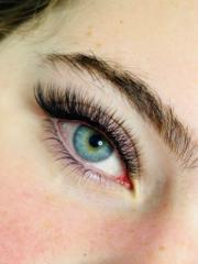 Сормуус Урлал