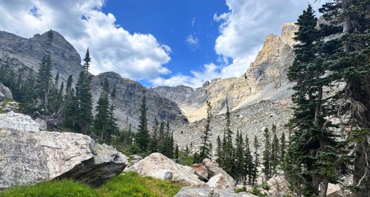 The Wilderness Files