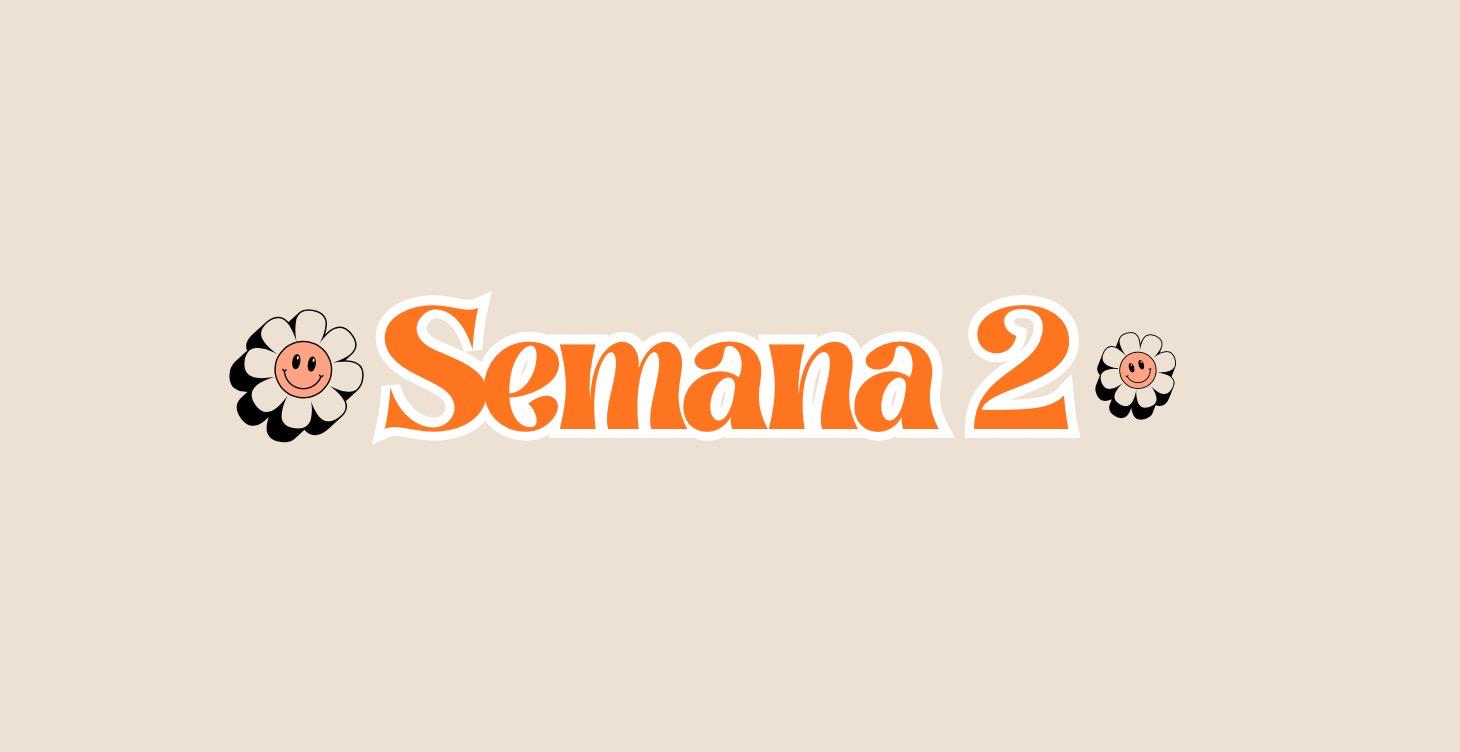 Semana 2