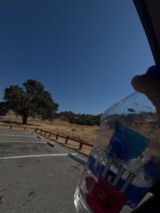 Estrella Ramos Lopez