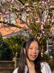Hoa Vu