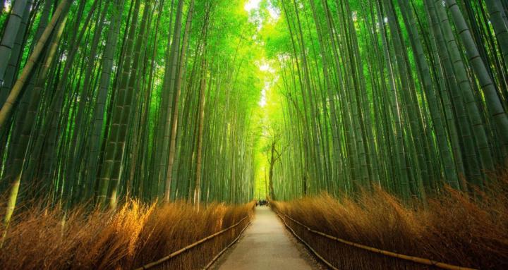 Digital Marketing 101 course