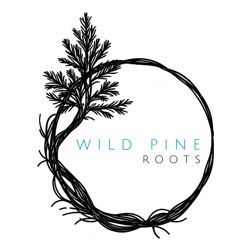 🌲 Welcome to Wild Pine Roots