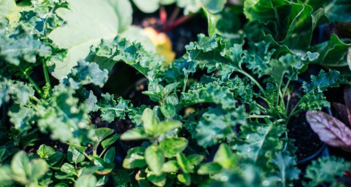 Becoming Rich Soil