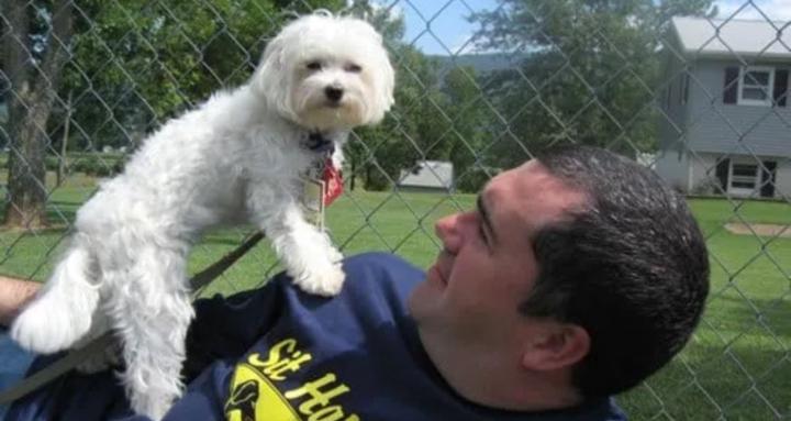 Topdog Training Careers