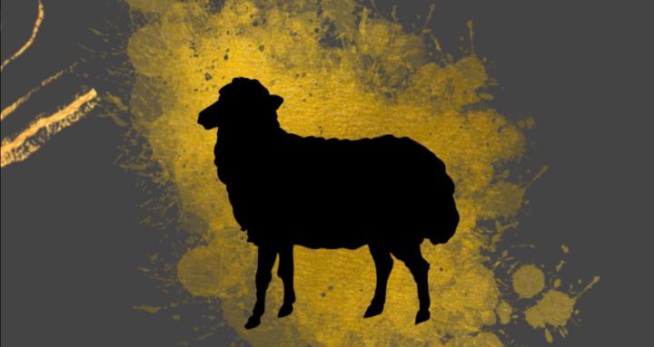 Black sheep Sister Circle