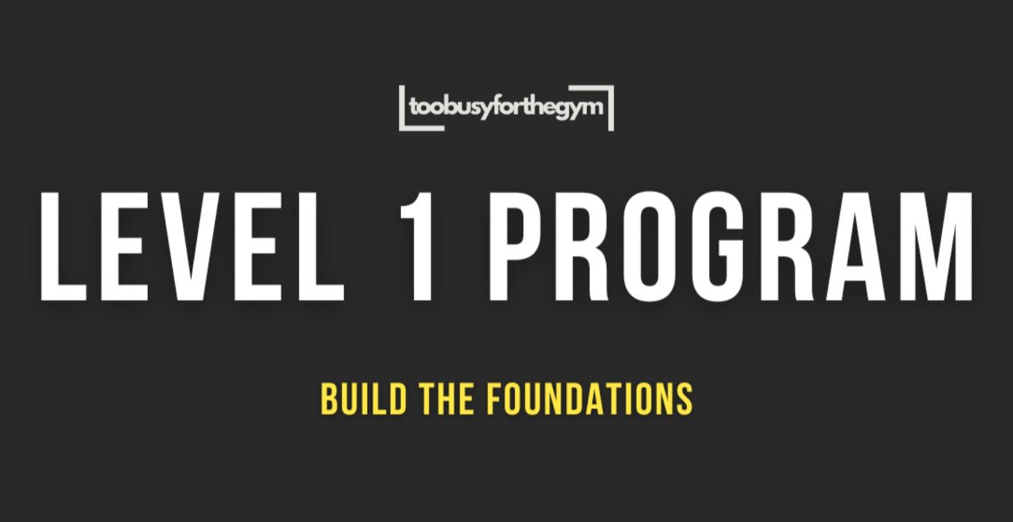 Level 1 Program