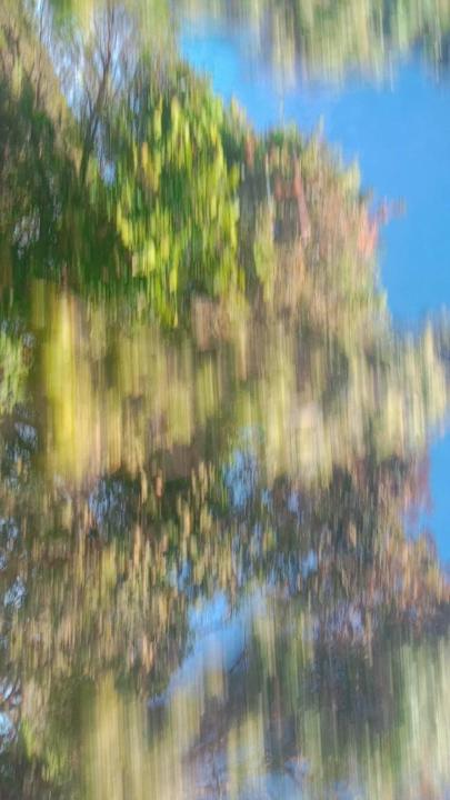 Nurhanis Batrisya bt mohd hafizudin