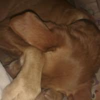 Eva Verónica Pacheco Lista