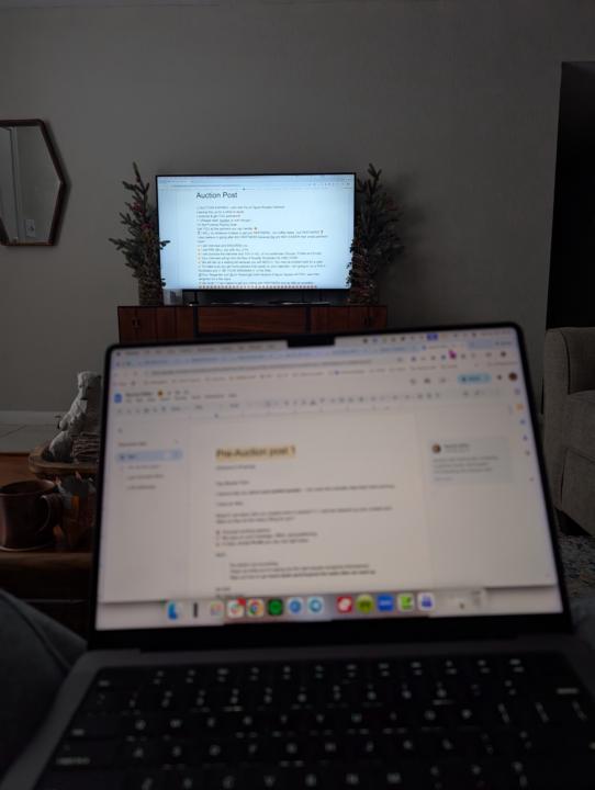 Writing my first auction post - using bid close delay??