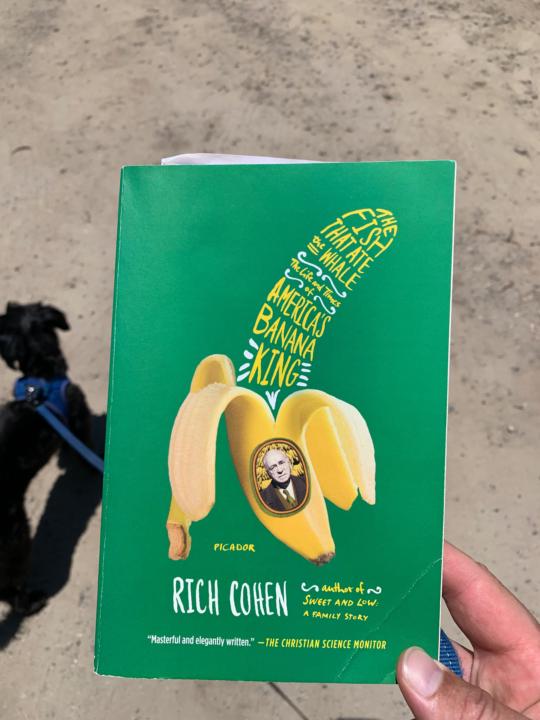 Ronin of all Ronins (book)