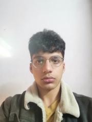 Hassan Aziz