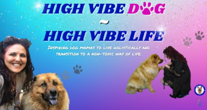High Vibe Dog