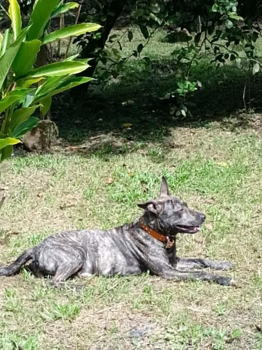 José Carlos Ramírez Alvarado