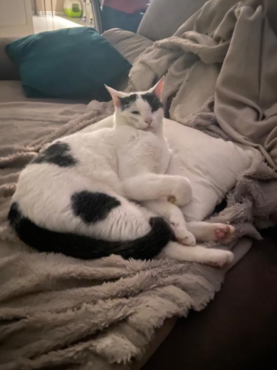 Anouck Bonifacie-barthelemy