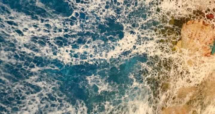 Dragonfly Wood andResin Design