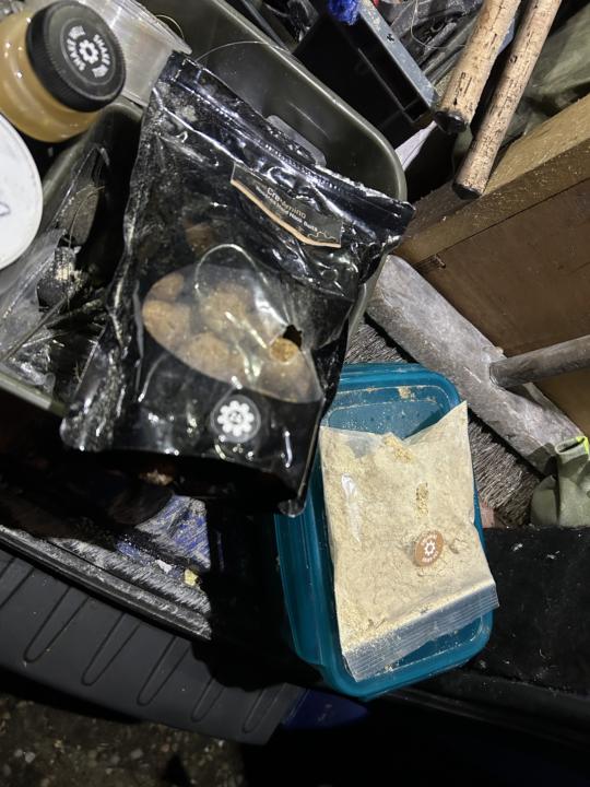 Argggghhhh!!! Dang MICE!! 😡😱😭😱😱😱😱