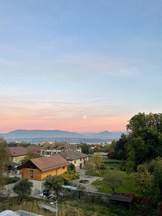 Tijana Kukanjac Starinac