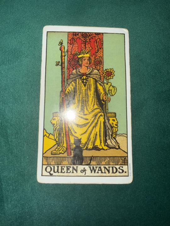✨ Weekend Card Pull: Queen of Wands ✨