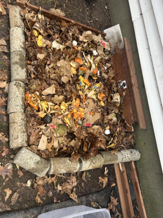 Started my compost 