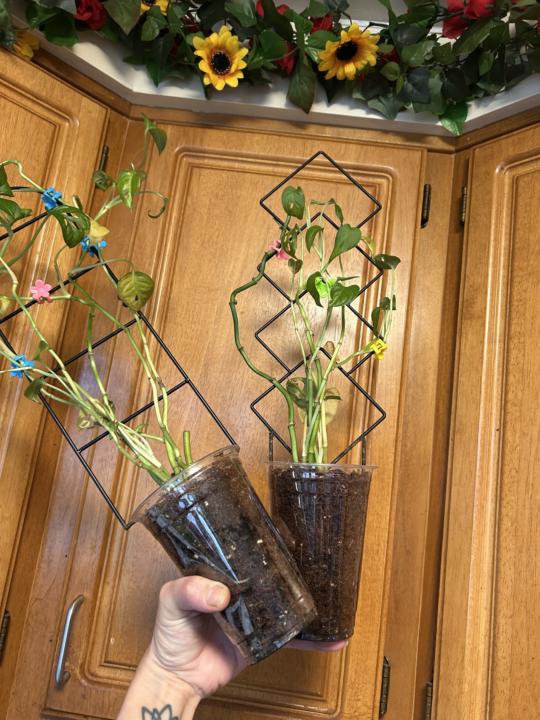 Ok ok ok last one for today !! 