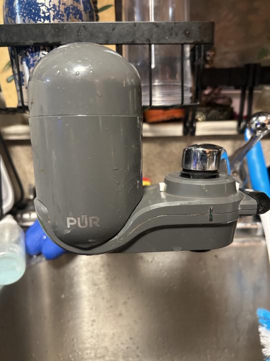  The Secret to Happier Leaves? Ditch the Tap!