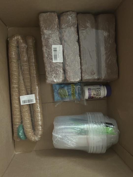 📦 Major Plant Mail Delivery! 🪴