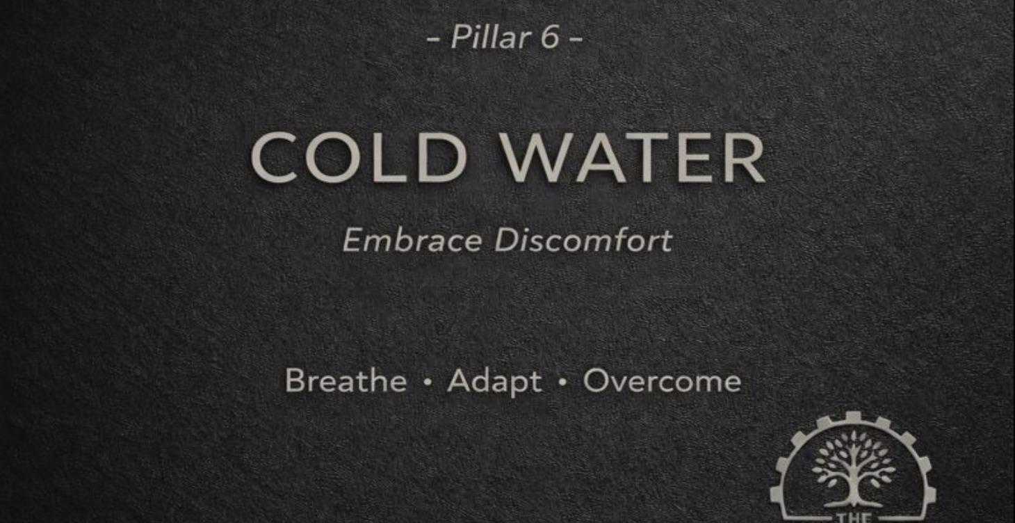 Pillar Six: Cold Immersion