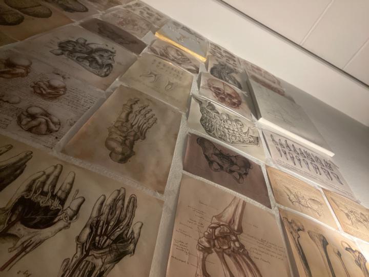 Melánie Demeterová